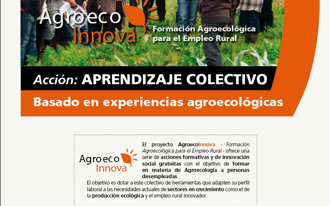 Aprendizaje colectivo. Castilla La Mancha, Andalucía, Comunidad Valenciana y Murcia
