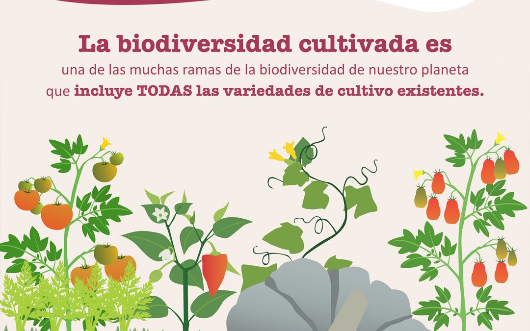 CULTIVA BIODIVERSIDAD Y CONSUME CON LÓGICA AGRO-ECO-LÓGICA