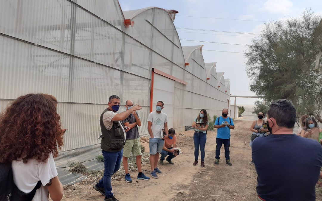 Formación para la gestión agroecológica de plagas y enfermedades en invernaderos ecológicos