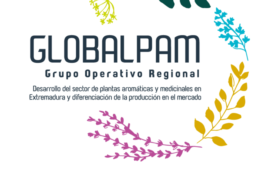 Jornada final de GO GLOBALPAM: ¡Conoce los resultados!