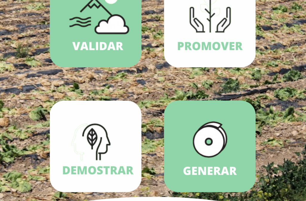 ¿Dónde queda el uso de un acolchado AgroPaper® en la legislación agraria y medioambiental?