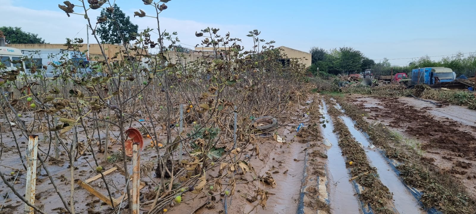 Dos años de la DANA: colectivos y organizaciones valencianas lanzan el manifiesto «De la reconstrucción de hormigón a la justicia social, ambiental y agroecológica»