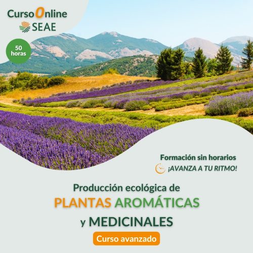 seae-agroecologia-curso-autoestudio-PAM-avanzado