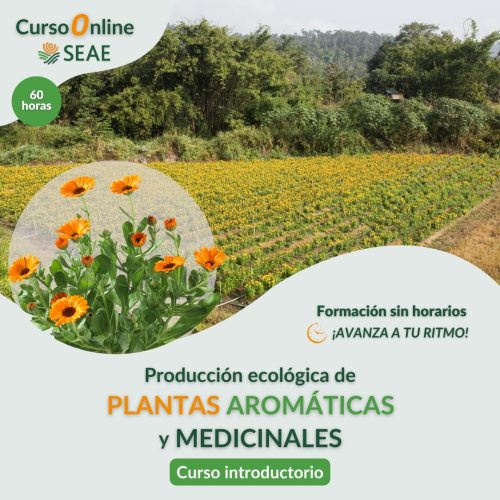seae-agroecologia-curso-autoestudio-PAM-introductivo