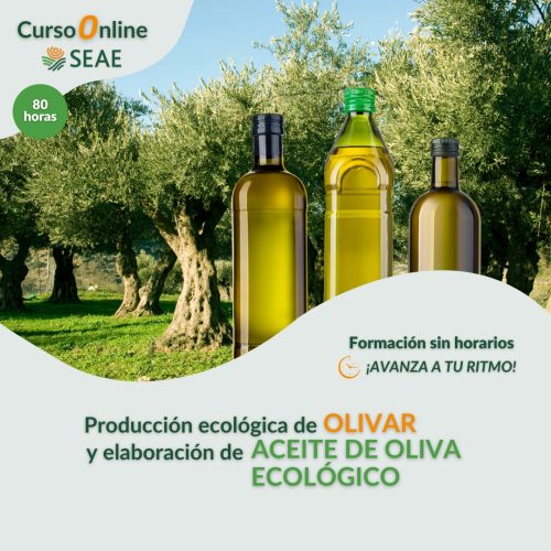 seae-agroecologia-curso-autoestudio-olivar-aceite-de-oliva