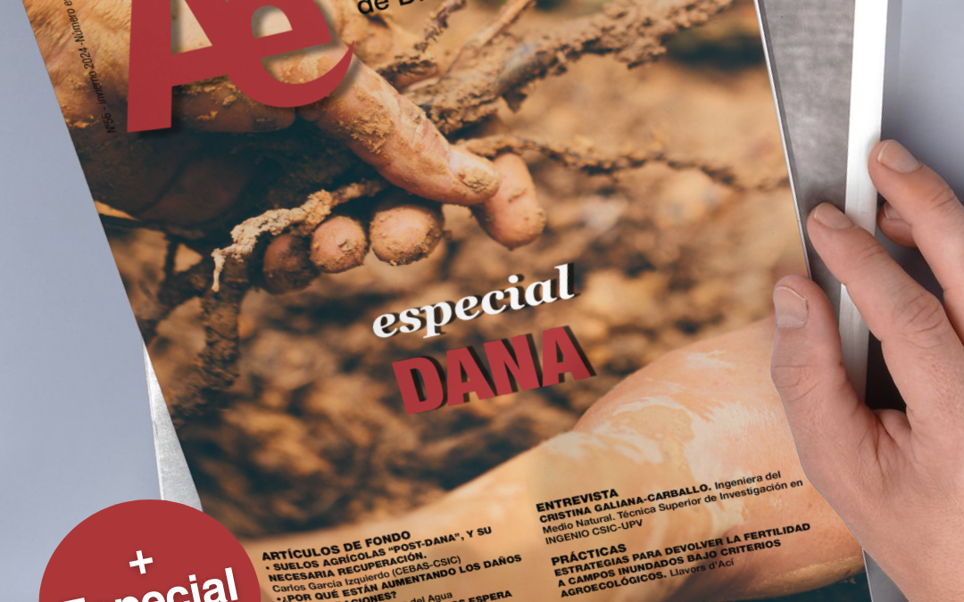 Sumario Ae 56 especial DANA