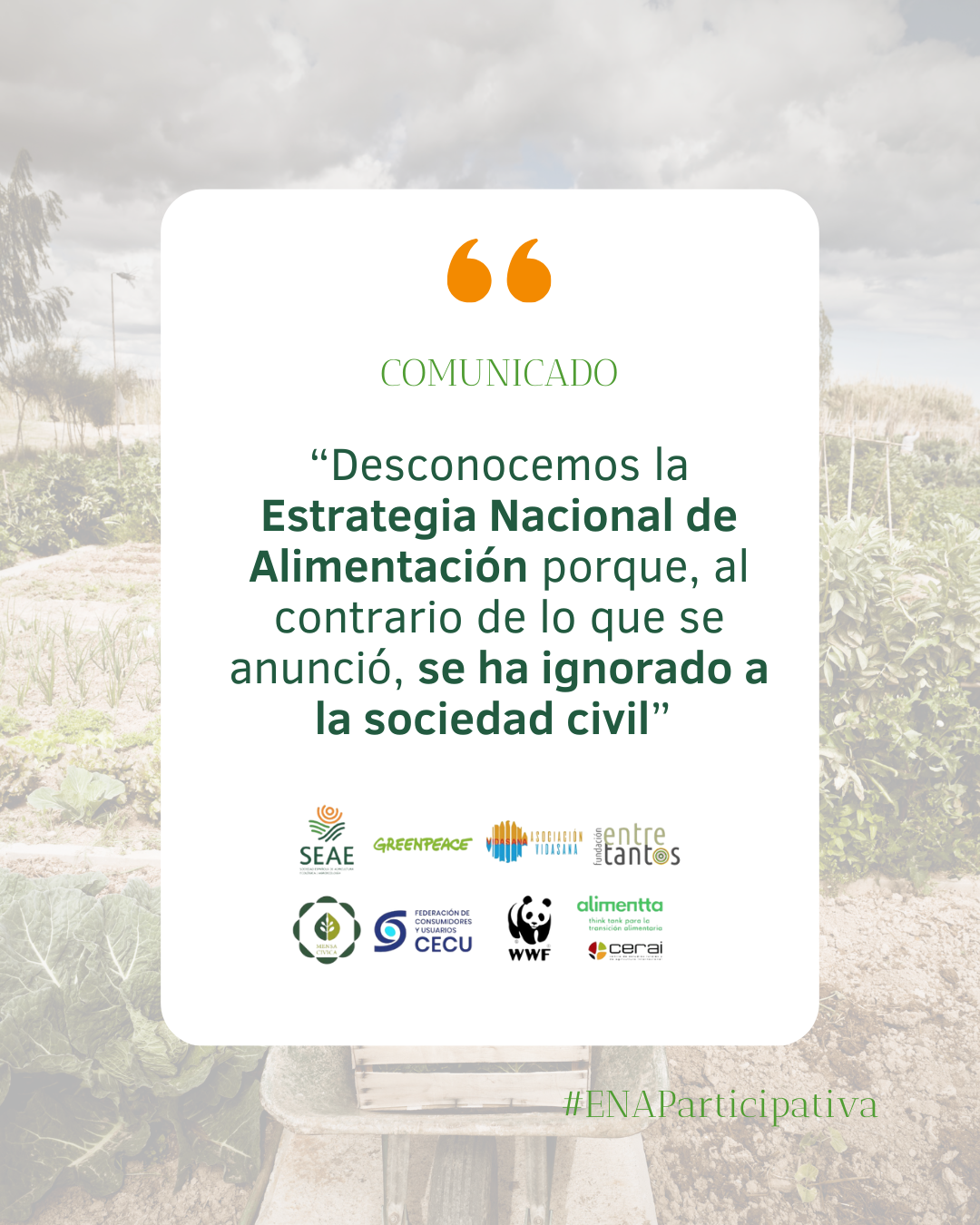 “Desconocemos la Estrategia Nacional de Alimentación porque, al contrario de lo que se anunció, se ha ignorado a la sociedad civil” 
