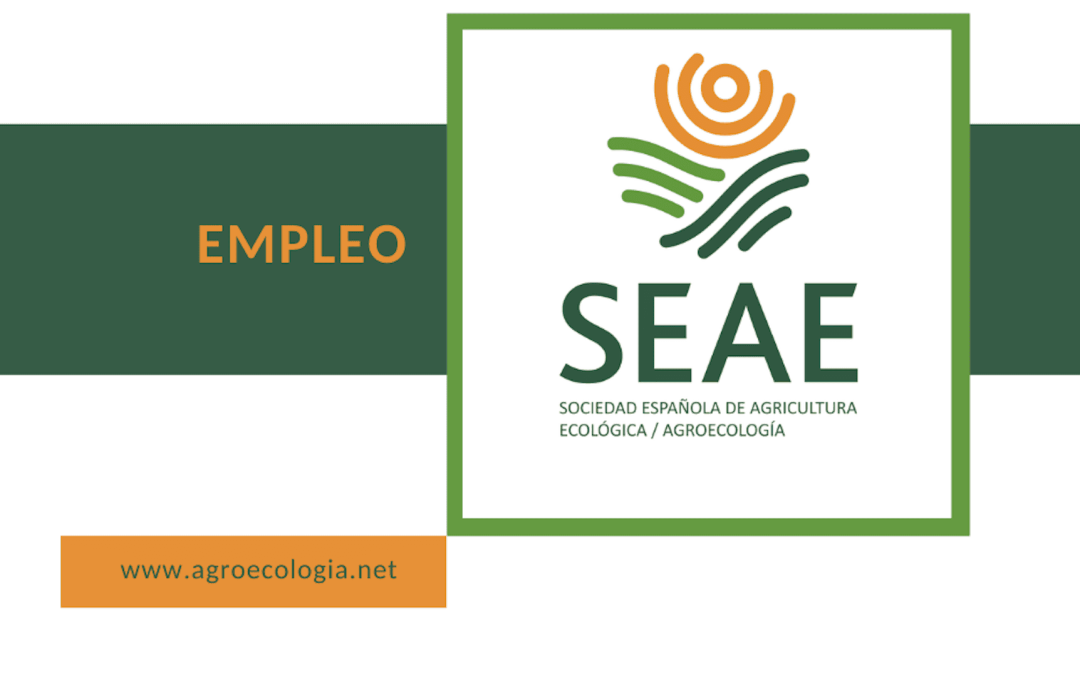 2 ofertas de empleo en SEAE: Responsable de Programas Formativos y Auxiliar Administrativo