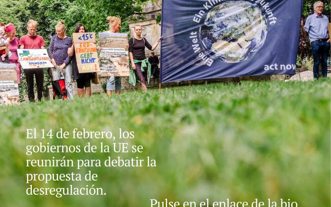 DECLARACIÓN CONJUNTA SOBRE LA DESREGULACIÓN DE LOS NUEVOS OMG