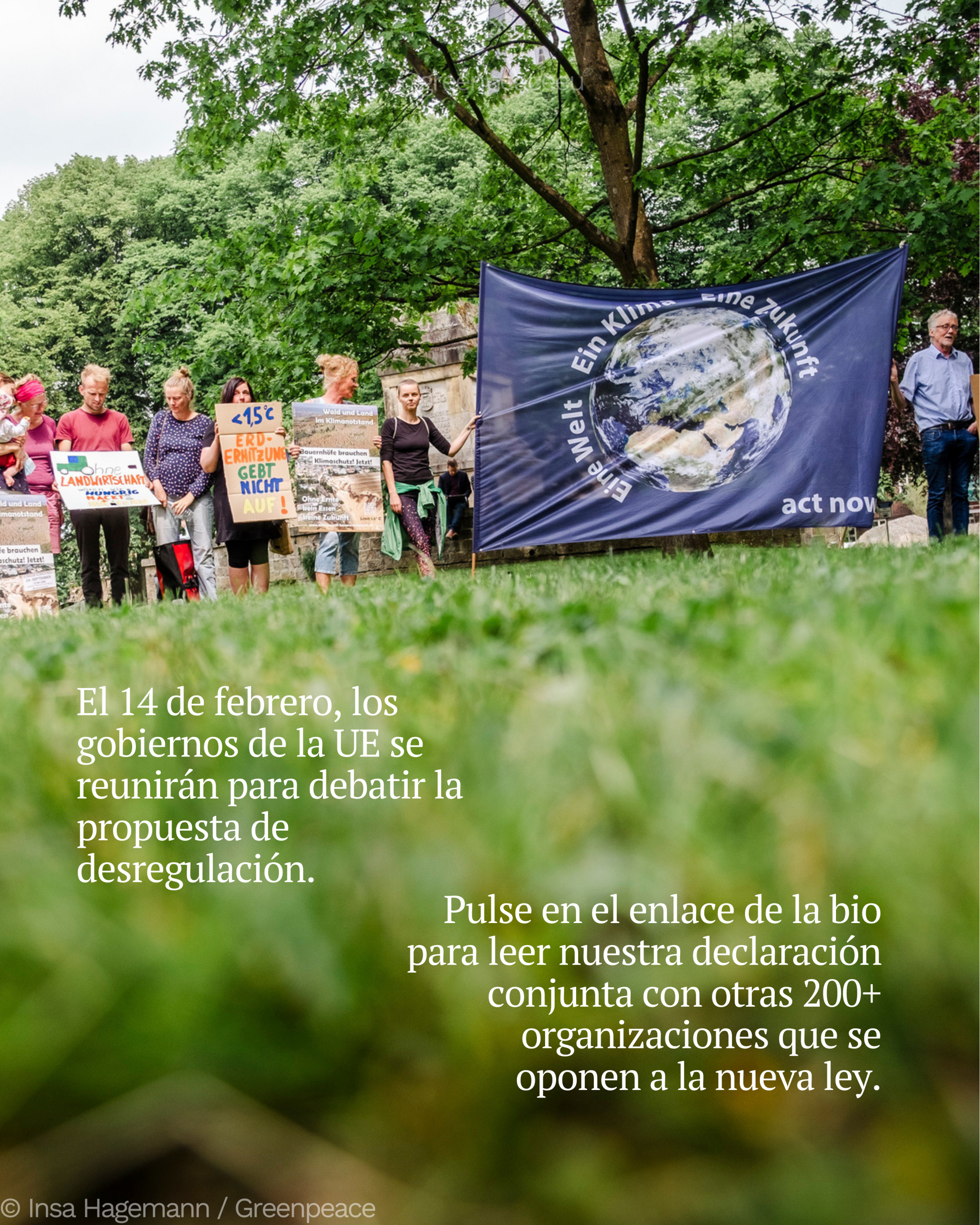 DECLARACIÓN CONJUNTA SOBRE LA DESREGULACIÓN DE LOS NUEVOS OMG