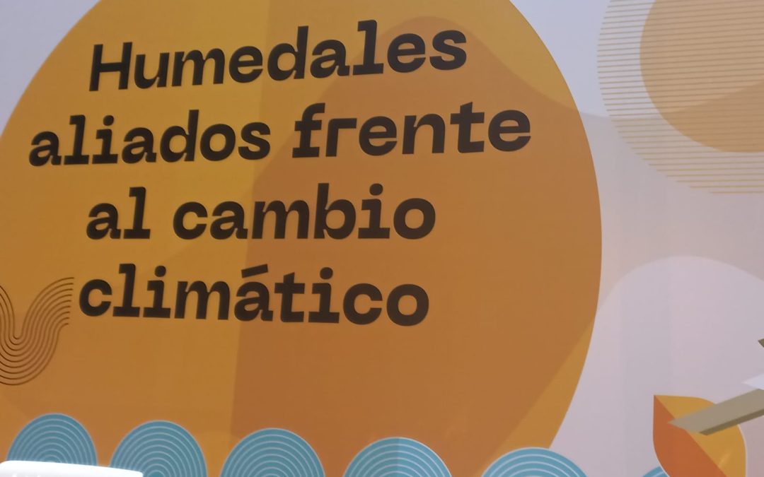 Evitemos la degradación de los humedales: suma tu apoyo como entidad al manifiesto