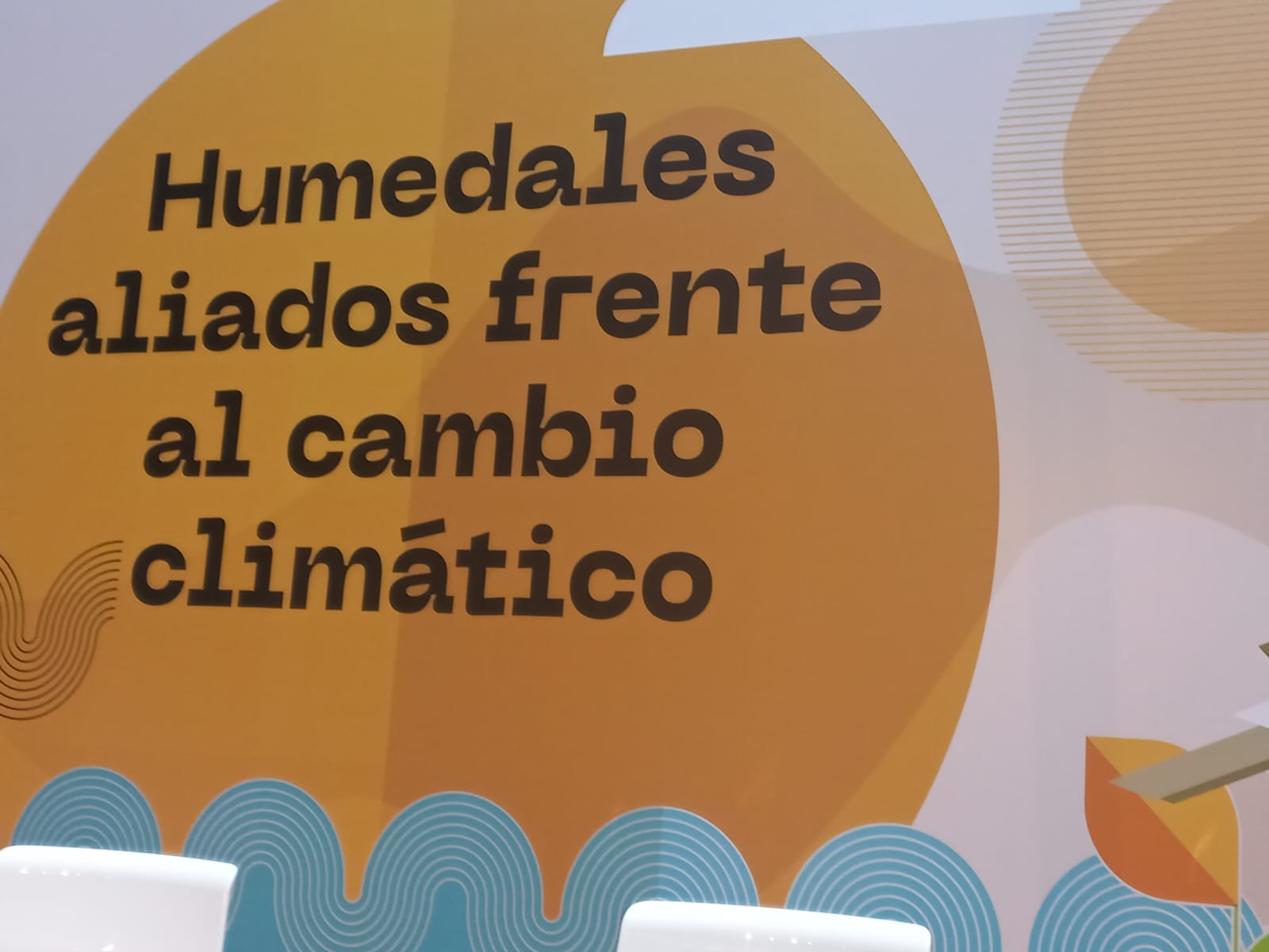 Evitemos la degradación de los humedales: suma tu apoyo como entidad al manifiesto