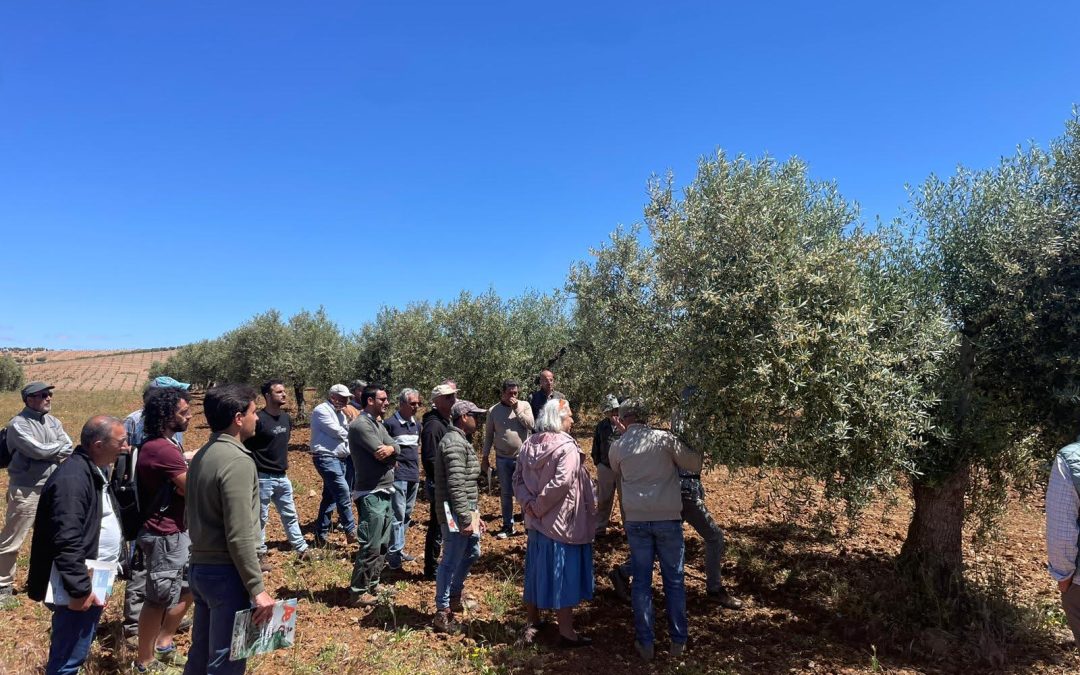 385 personas formadas en agroecología y cambio climático