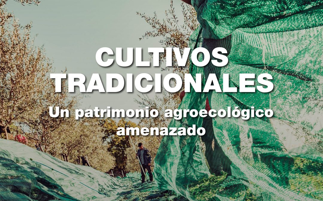 Sumario Ae 57: «Cultivos Tradicionales: un patrimonio agroecológico amenazado»