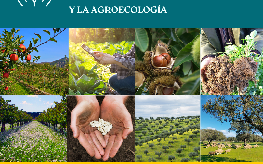 Estrategias de adaptación al cambio climático desde la producción ecológica y la agroecología