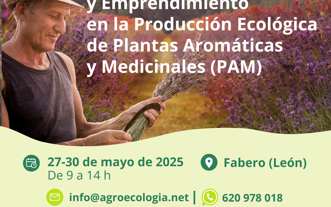 Cómo Emprender con la Producción Ecológica de Plantas Aromáticas y Medicinales (PAM)