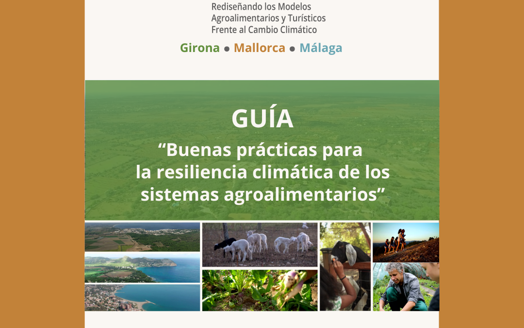 Descarga la «Guía de Buenas Prácticas para la resiliencia climática de los sistemas agroalimentarios»