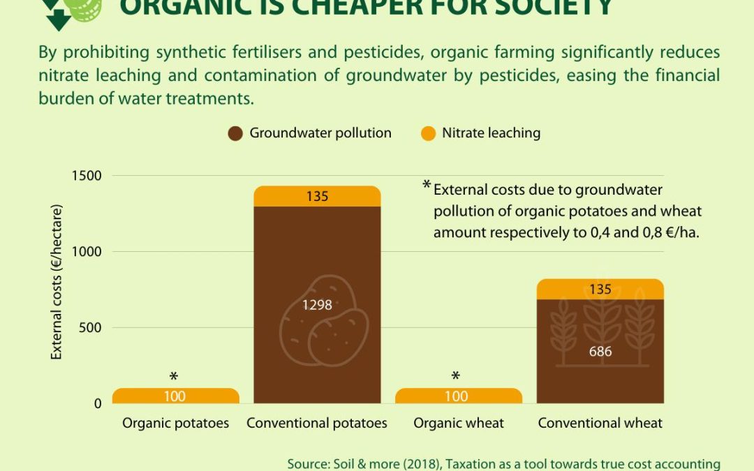 «El borrador de la Estrategia de Resiliencia Hídrica de la UE no aborda lo suficiente la agricultura ecológica»