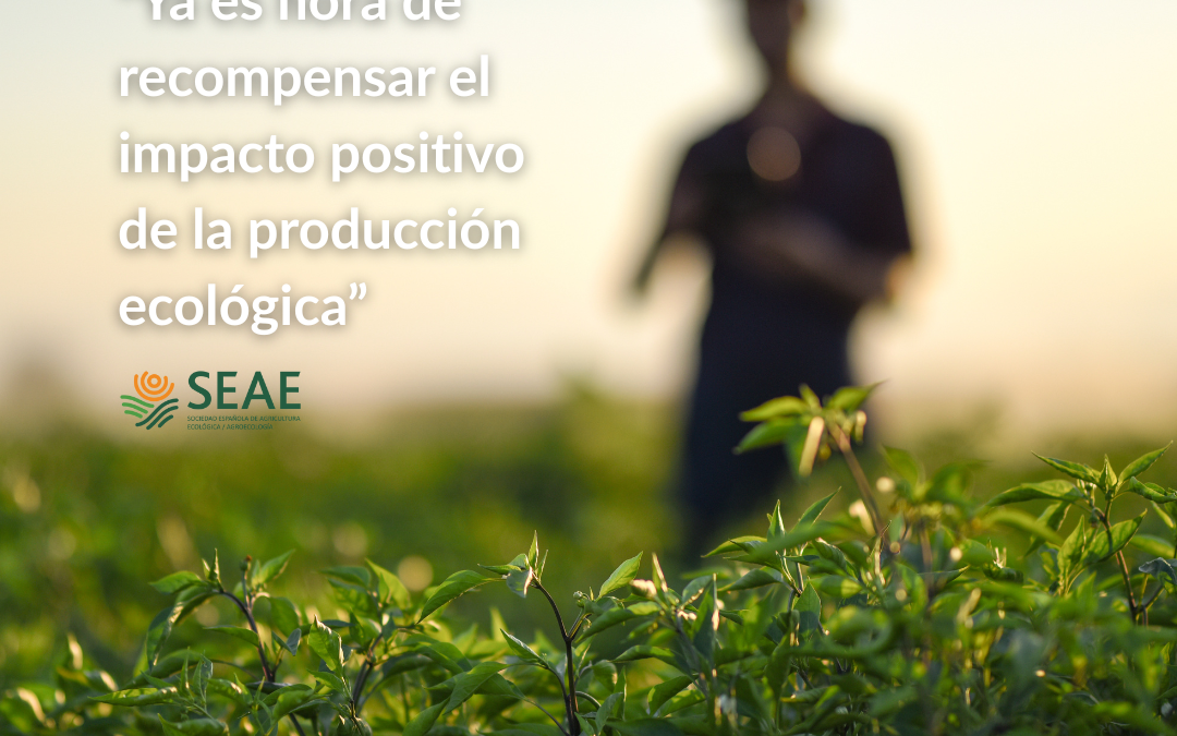 “Ya es hora de recompensar el impacto positivo de la producción ecológica”