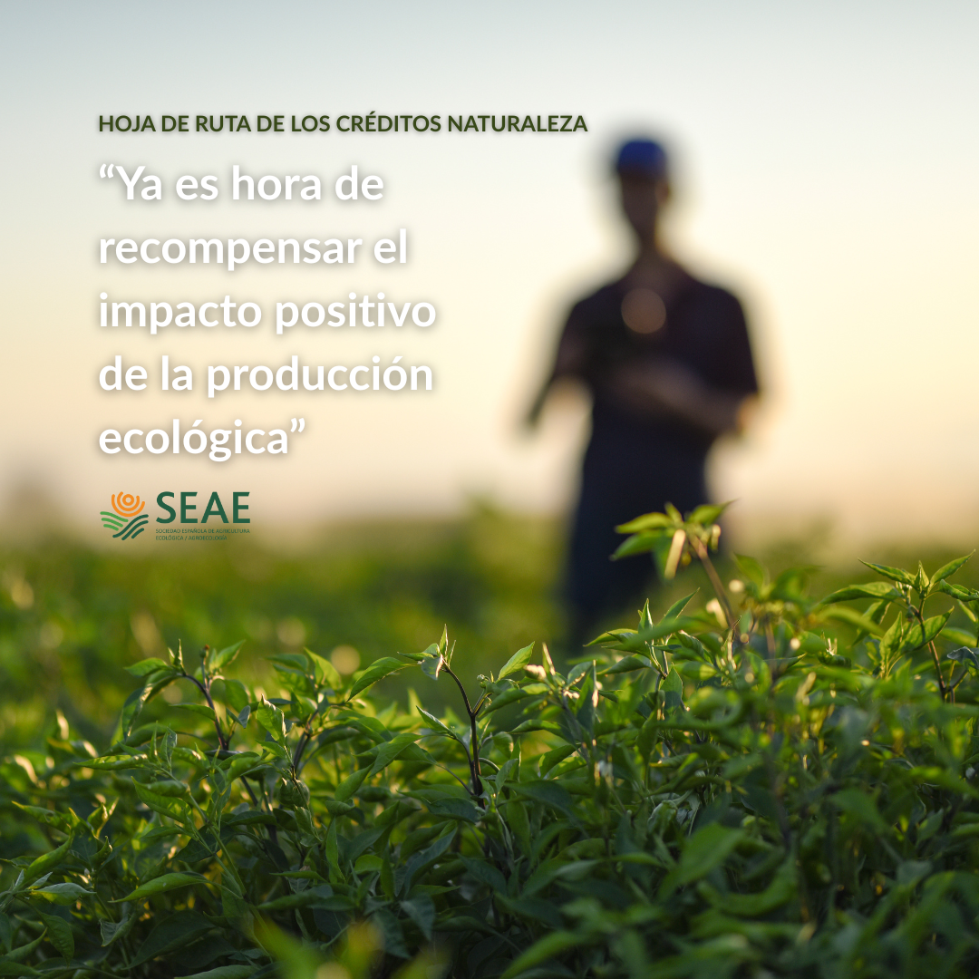 “Ya es hora de recompensar el impacto positivo de la producción ecológica”