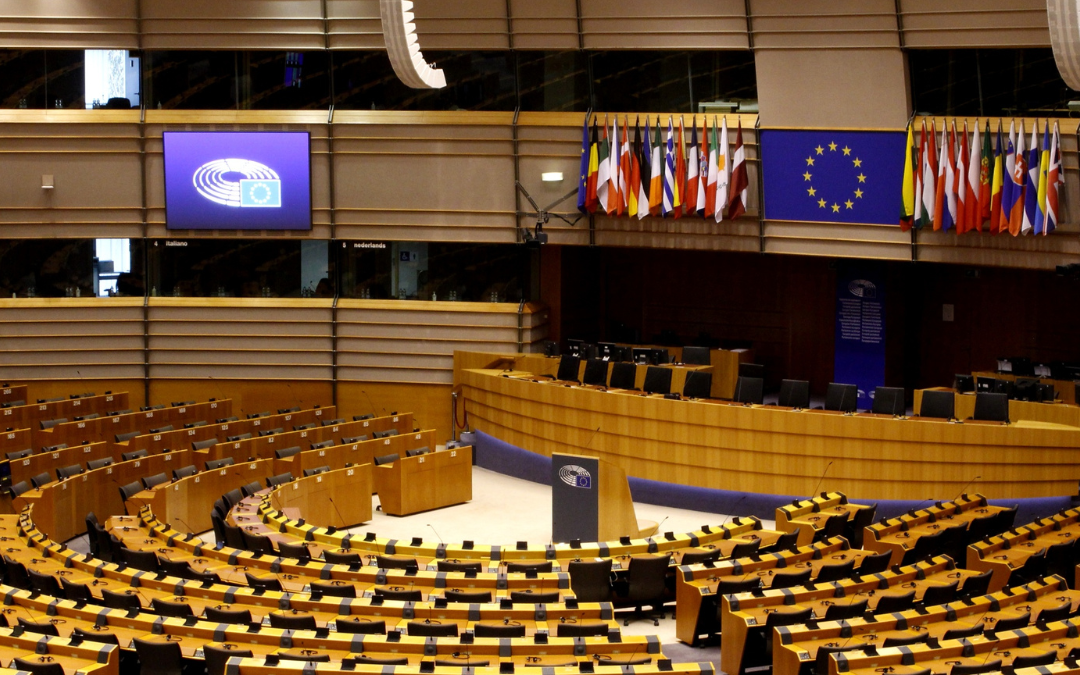 Luces y sombras en el posicionamiento del Parlamento Europeo sobre la futura PAC