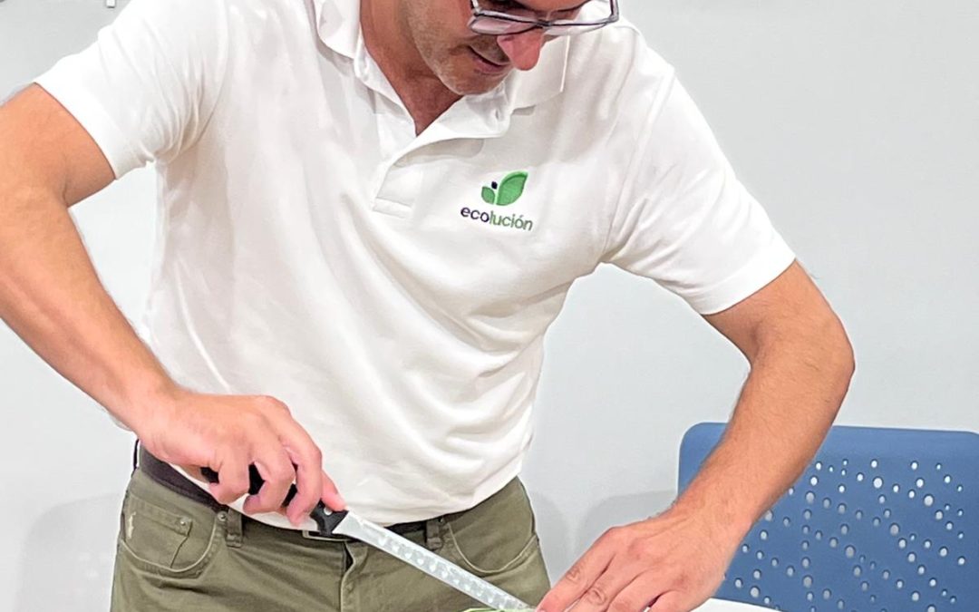 Diferentes jornadas de capacitación y formación de CultivEco: aprende buenas prácticas de agricultura ecológica en Murcia