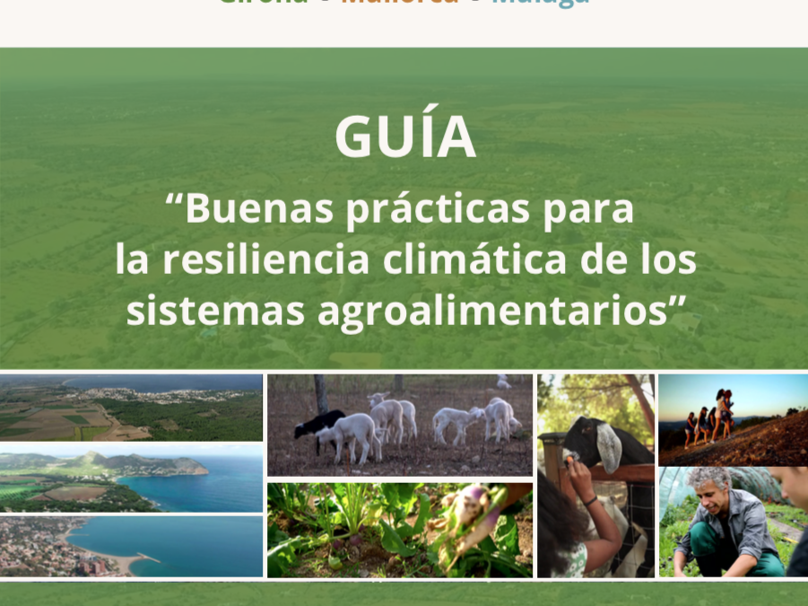 Guía EcoTerRes. Buenas Prácticas para la Resiliencia Climática 