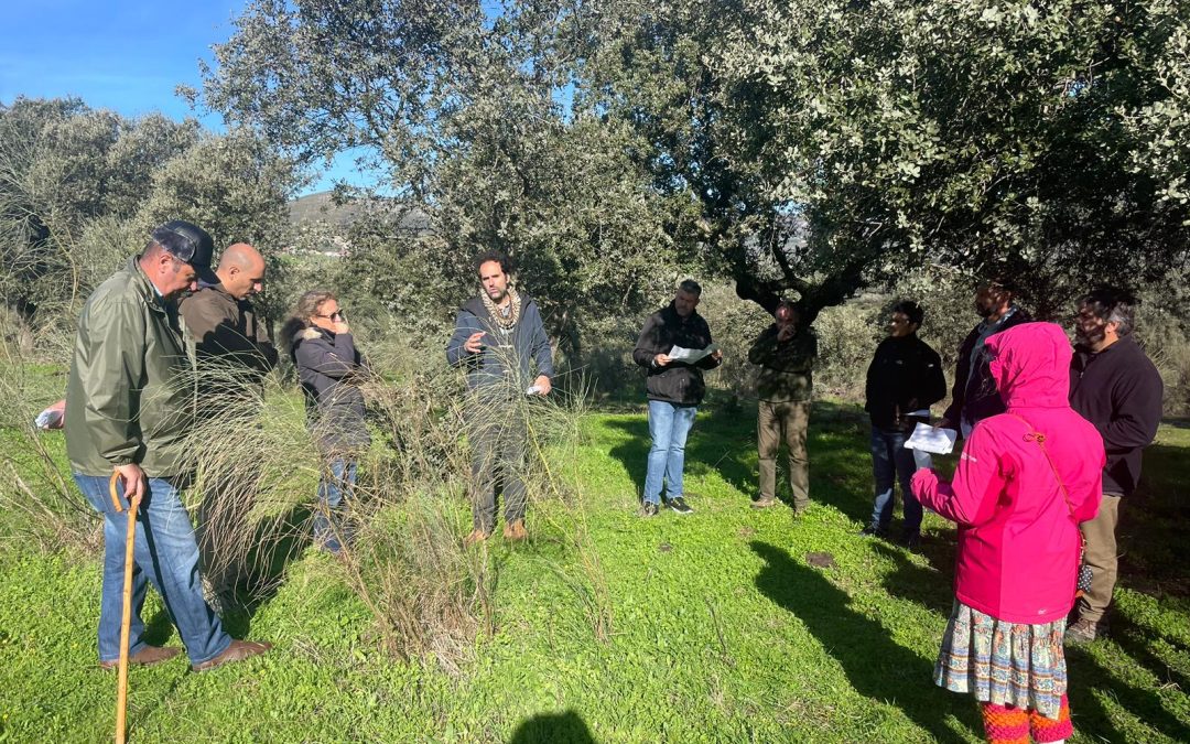 Ganadería ecológica, autonomía forrajera y la gestión sostenible de la dehesa