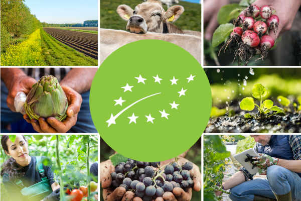 Hoja de Ruta de la UE para un Reglamento Ecológico más eficaz