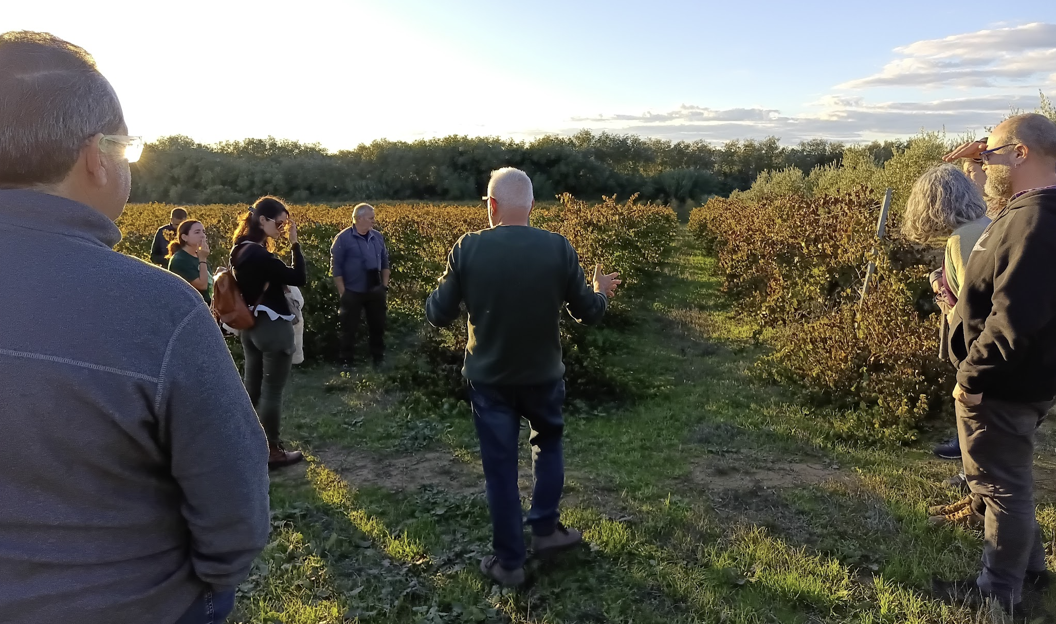 seae-plan-valenciano-transicion-agroecologia