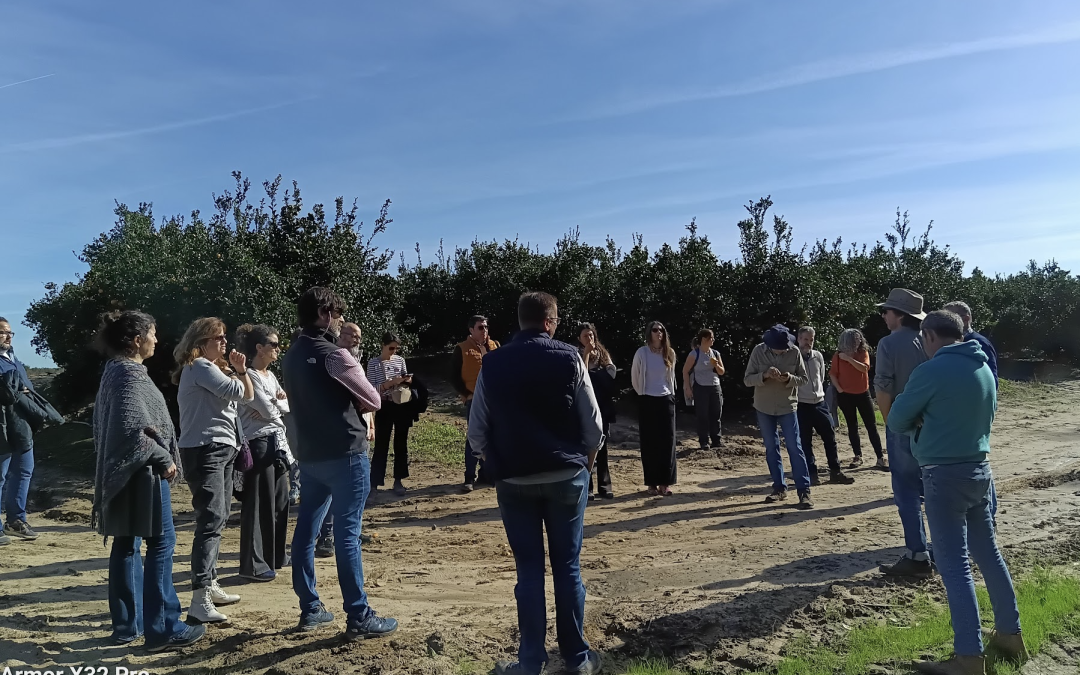 FARO Doñana: cultivando futuro desde la agroecología