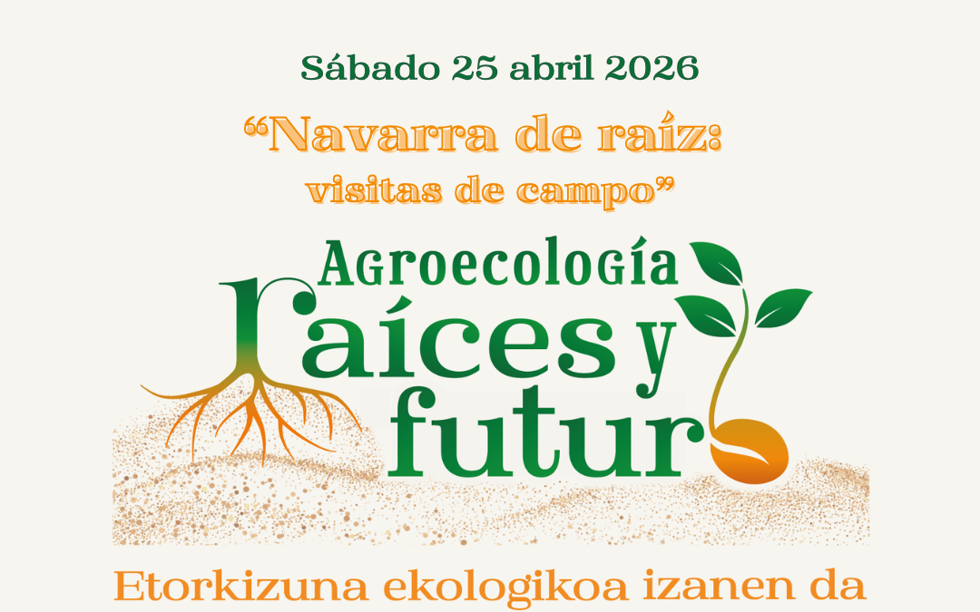 Día 4 XVI Congreso SEAE: «Navarra de raíz», las visitas