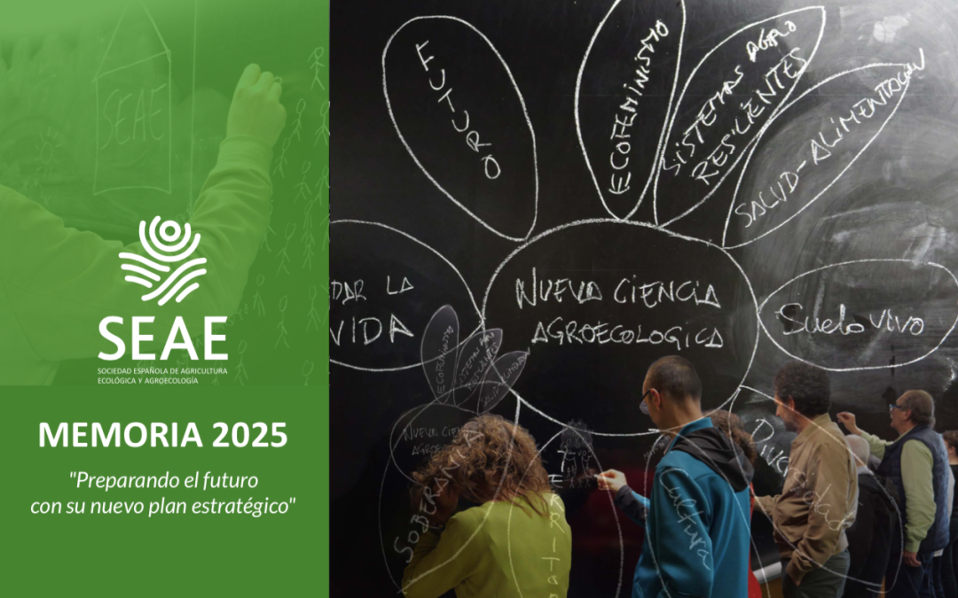 SEAE publica su Memoria 2025