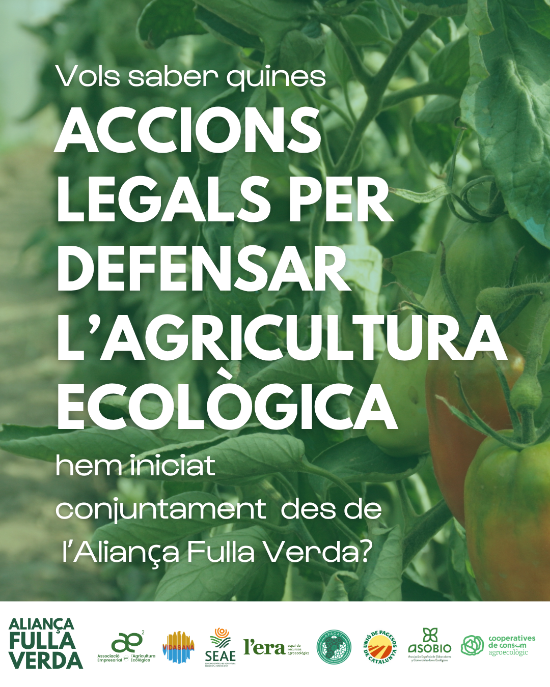 L’Aliança Fulla Verda mantiene la presión sobre el borrador de la Proposición de Ley de Producción Agraria Sostenible