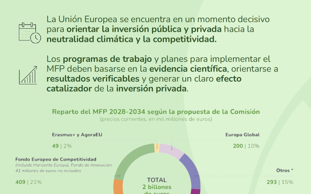 SEAE y otras 18 organizaciones piden al Estado español un presupuesto europeo ambicioso para 2028-2034