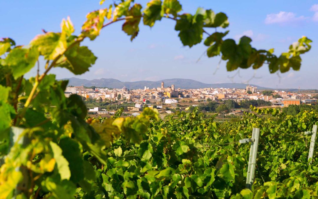 Tierra Bobal, Reserva Biosfera del Valle del Cabriel y el Tancat de la Pipa, escaparate europeo de gestión participativa del territorio y el ecoturismo