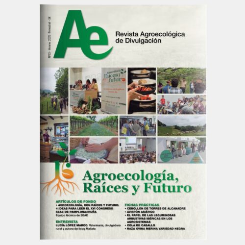 Revista Ae Nº63: “Agroecología, Raíces y Futuro”. Verano 2026