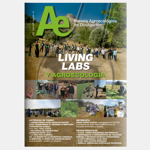 seae-publicaciones-revista-ae-60