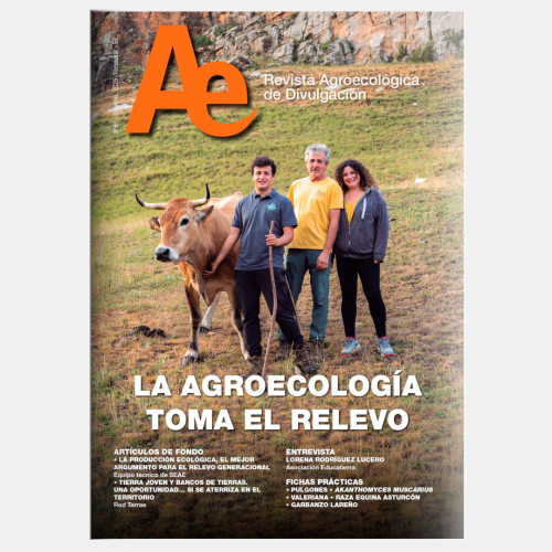 seae-publicaciones-revista-ae-61