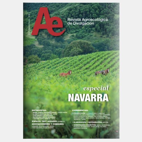 seae-publicaciones-revista-ae-62