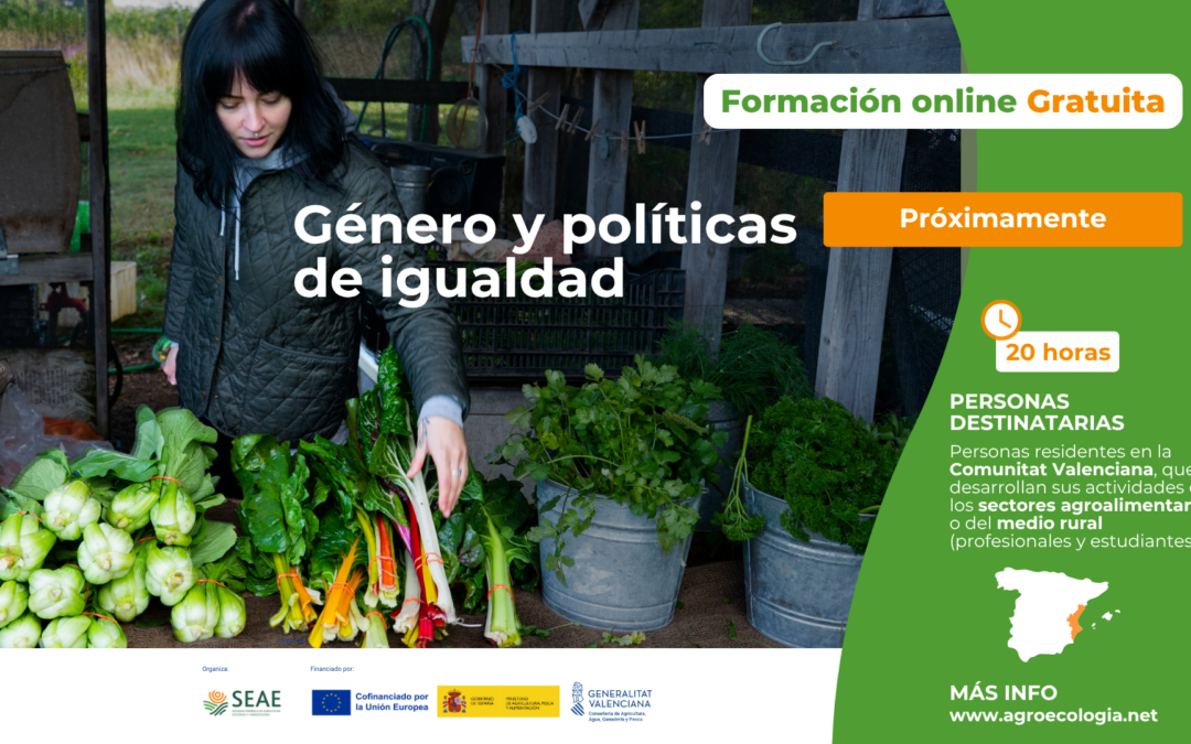 Curso online «Género y Políticas de Igualdad»