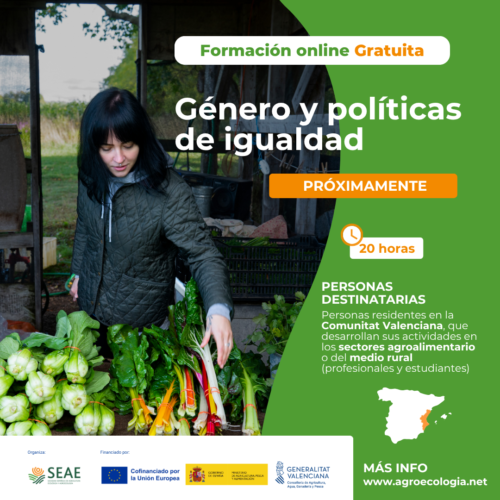 Curso online "Género y Políticas de Igualdad"