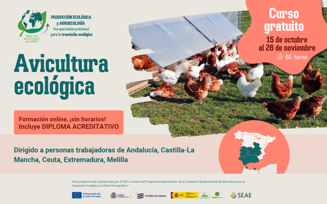 Curso online «Avicultura ecológica». Del 15 de octubre al 26 de noviembre 2026.  Región C
