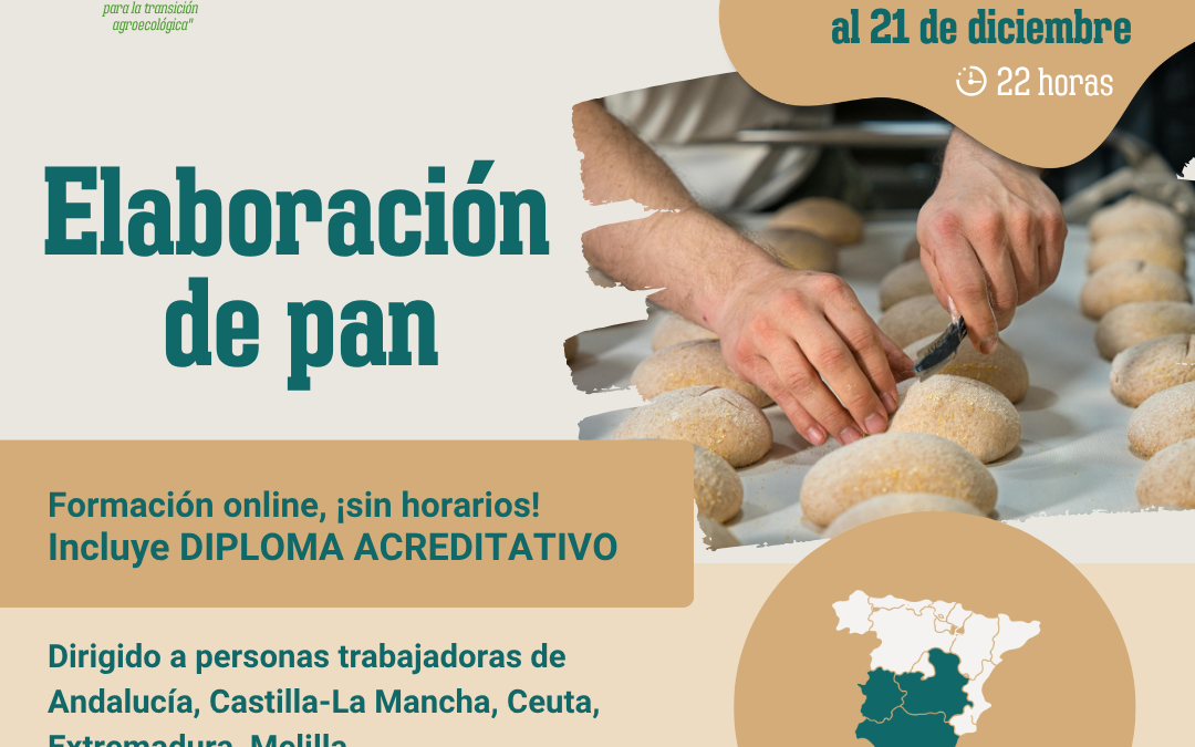 Curso online «Elaboración de pan». Del 30 de noviembre al 21 de diciembre 2026. Región C