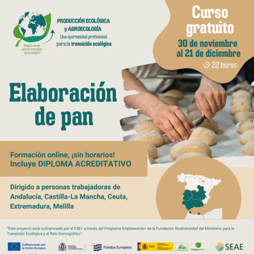 Curso online "Elaboración de pan". Del 30 de noviembre al 21 de diciembre 2026. Región C