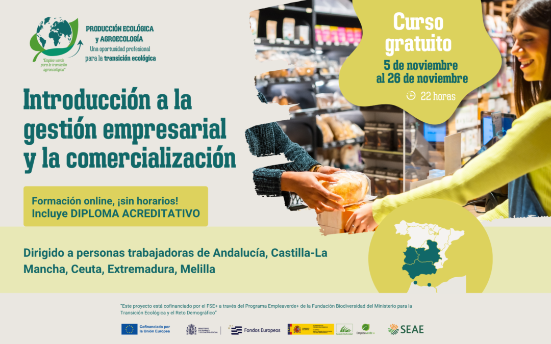 Curso online «Introducción a la gestión empresarial y la comercialización». Del 5 al 26 de noviembre 2026. Región C