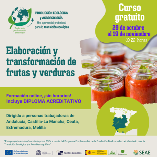 Curso online "Elaboración y transformación de frutas y verduras" del 29 de octubre al 19 de noviembre 2026. Región C