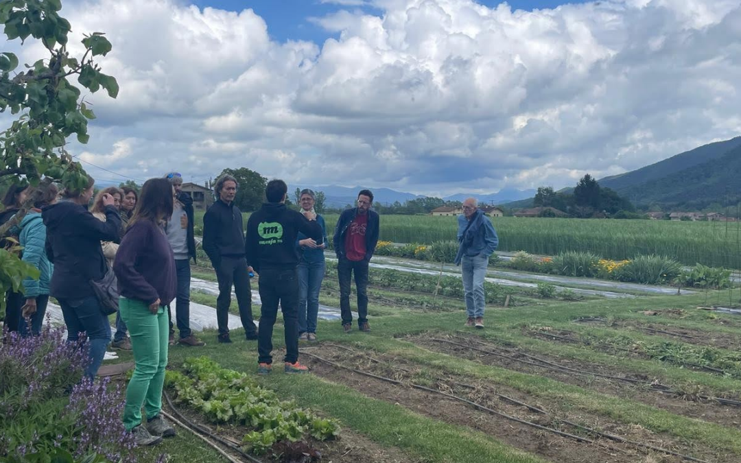 Seis cursos online y gratuitos de agricultura ecológica para el campo valenciano este otoño