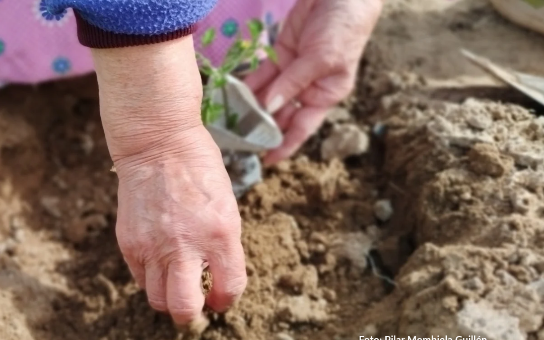 Mujeres rurales y agroecología: conocimiento, cuidados y liderazgo para el futuro de los territorios
